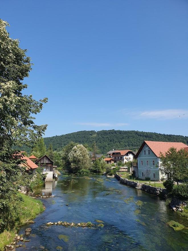 Krka River Lodge Znojile pri Krki Bagian luar foto