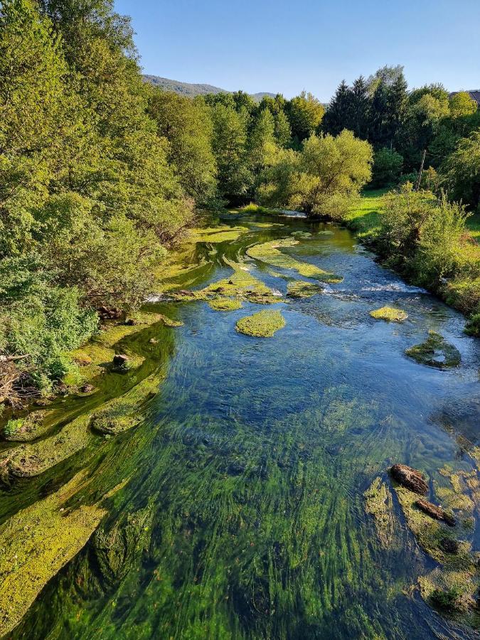Krka River Lodge Znojile pri Krki Bagian luar foto