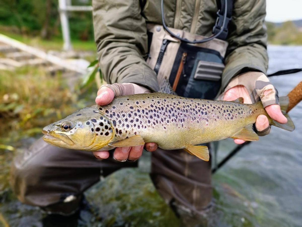Krka River Lodge Znojile pri Krki Bagian luar foto